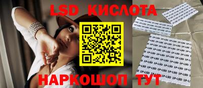 МДПВ Новозыбков