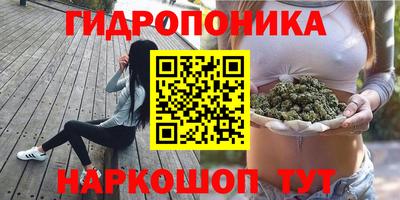 эйфоретик Новодвинск