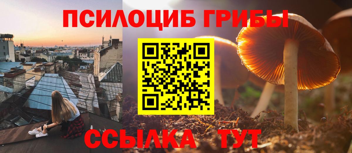 Галлюциногенные грибы прущие грибы Ярославль