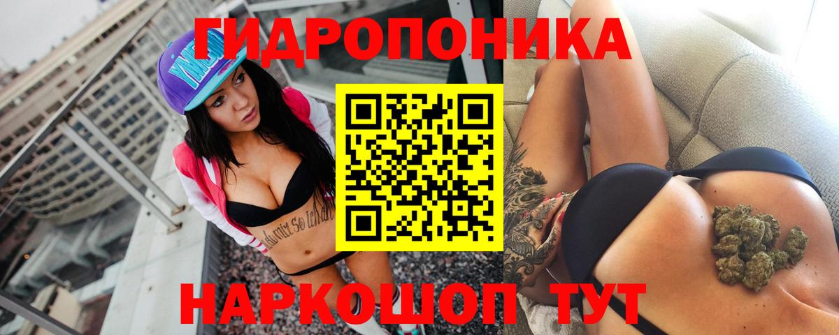 Бошки Шишки Amnesia  Вход с VPN  Конопля план  Марихуана тримм  Ярославль 